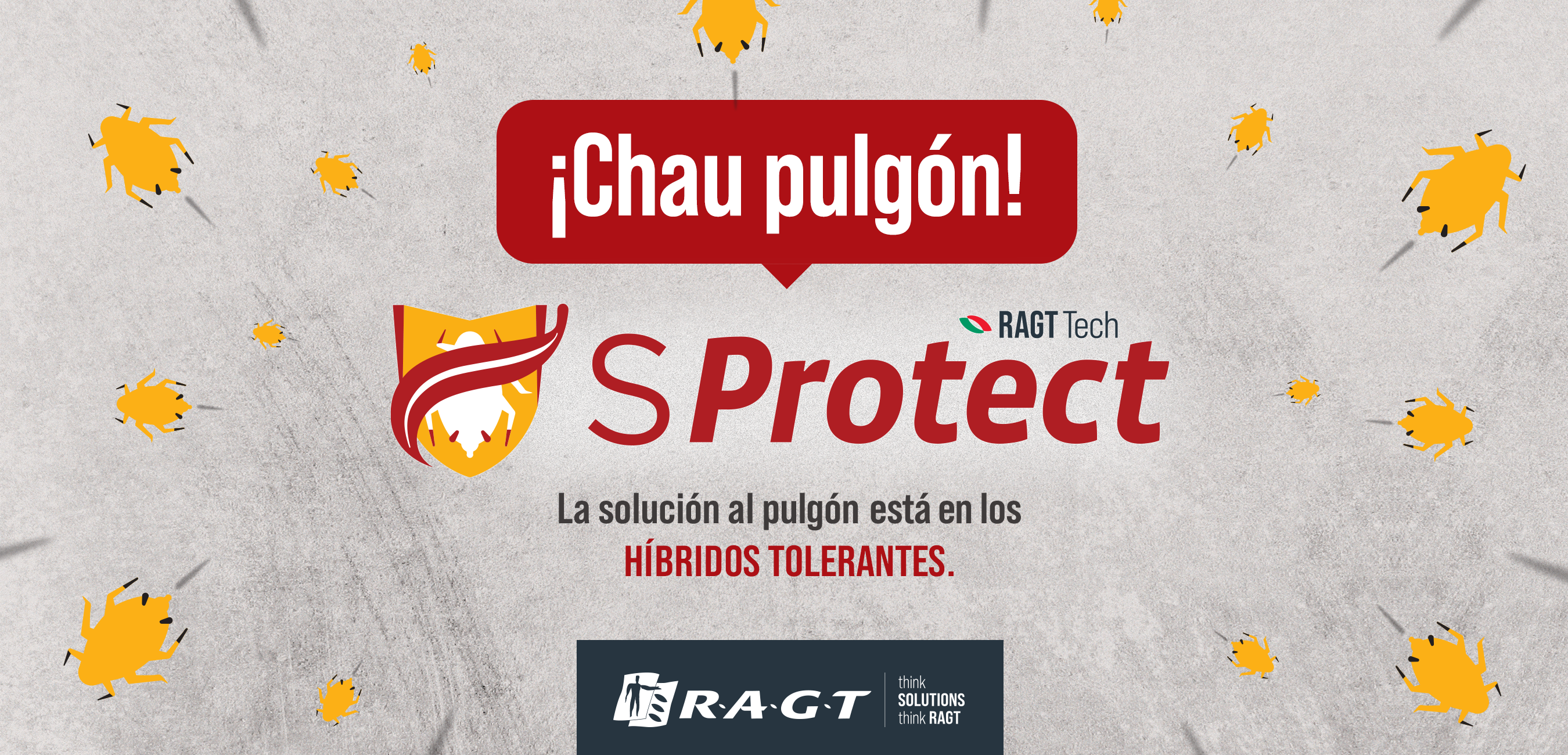 Chau Pulgón