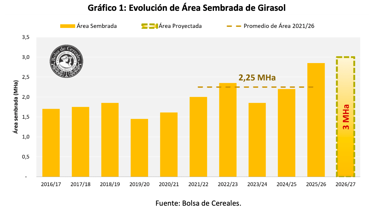 Gráfico de barras de la Bolsa de Cereales que muestra la evolución del área sembrada de girasol en Argentina, proyectando un récord de 3 millones de hectáreas para la campaña 2026/27.