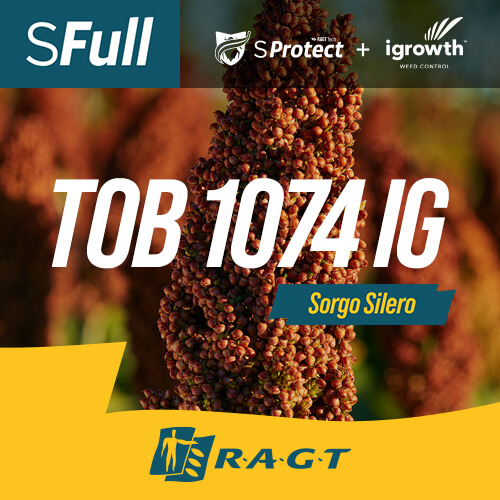 Folleto del híbrido de sorgo silero TOB 1074 IG SFull de RAGT Semillas con tecnologías S-Protect e igrowth.