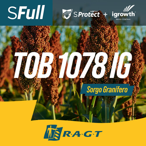 Folleto del híbrido de sorgo granífero TOB 1078 IG SFull de RAGT Semillas con tecnologías S-Protect e igrowth.